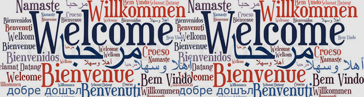 Welcome to visit our website